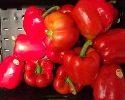 Bunte Paprika als Symbol für gesunde Lebensmittel, die von der Mehrwertsteuer befreit werden sollen.