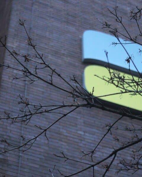 Dirk Wiese diskutiert Rentenreform und gesetzliche Rentenversicherungssicherheit im Deutschen Bundestag.