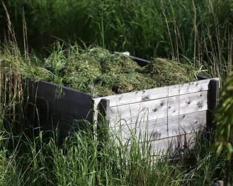 Mähroboter im Garten, umgeben von rasensi, Igel und andere Tiere bedroht durch Nachtbetrieb.