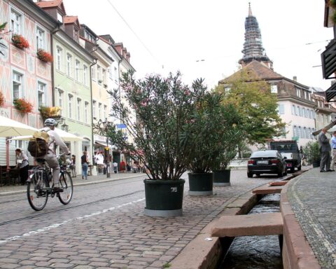Wahlhelfer im Einsatz, Menschen geben Stimmen ab, lebhafte Atmosphäre in Freiburgs Wahllokalen.