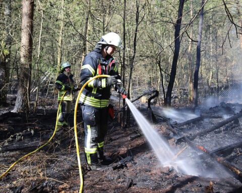 Waldbrand mit Rauch und Flammen, Feuerwehr im Einsatz, Lochsmaßnahmen und Evakuierung.