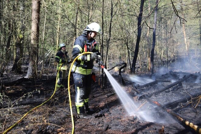 Wald- und Moorbrand im Wildpark Eekholt unter Kontrolle