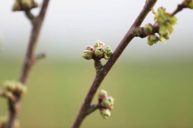 Wetterbericht für Baden-Württemberg (02.04.2026)