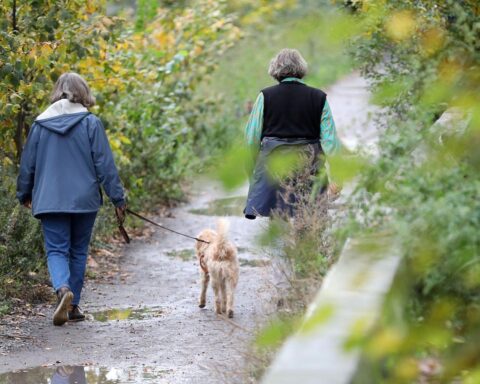 Zwei Frauen mit Hund spazieren an einem sonnigen Frühlingstag in Hessen.