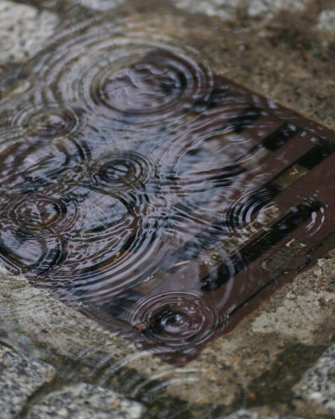 Graue Wolken, Regen, möglicherweise Schnee im Erzgebirge, kühle Temperaturen und starker Wind.