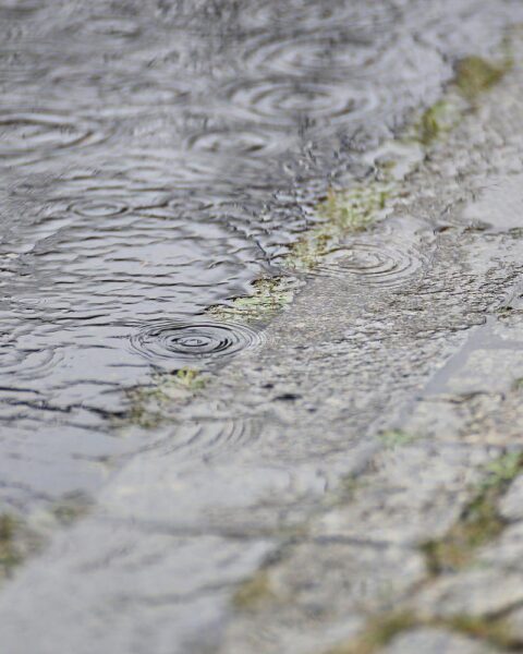 Stark bewölkter Himmel mit Regen und Gewittern in einer kühlen Landschaft von Sachsen-Anhalt.