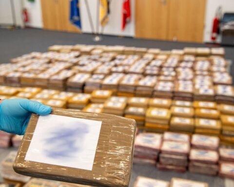 Kokainfund im Hamburger Hafen: 1,6 Tonnen im Bananencontainer beschlagnahmt.