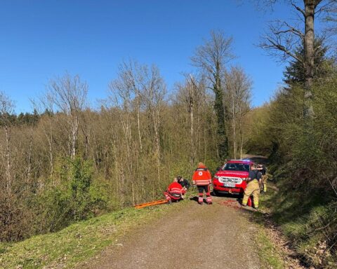 Feuerwehr rettet ältere Spaziergänger aus steilem Hang mit Seiltechnik und Schleifkorbtrage.