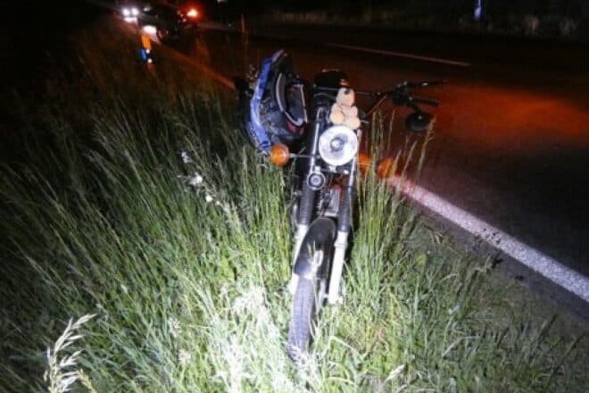 14-Jährige bei Wildunfall auf der L11 schwer verletzt