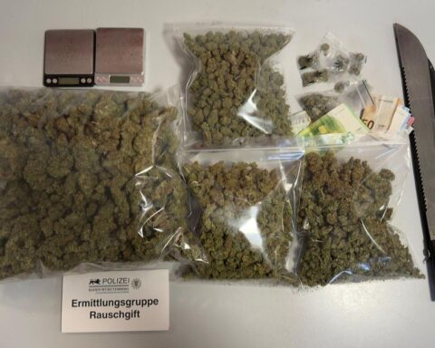Polizei sichert Marihuana und Bargeld bei Drogenhandel, Mann in Untersuchungshaft.