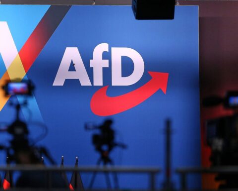 AfD-Logo, warnende E-Mail, Förderung konservativer Literatur, Abstand zu Identitären, Jugendorganisation.
