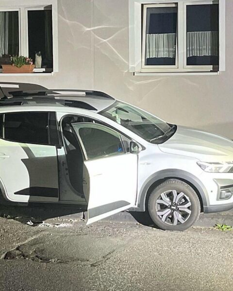 Polizeieinsatz bei Verkehrsunfall: Aggressiver Fahrer, Widerstand gegen Beamte, mehrere Verletzte.