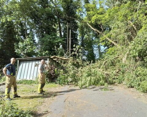 Feuerwehr entfernt umgestürzten Baum, der Weg blockiert; Einsatzkräfte mit Kettensägen und Sicherheitskleidung.