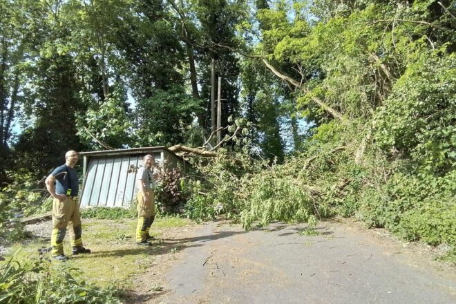 Baum stürzt auf Hütte und blockiert Weg in Weinheim-Lützelsachsen