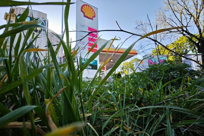 Bundesländer melden zurückgehende Inflation