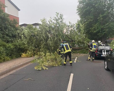 Feuerwehr entfernt umgestürzte Bäume und sichert Dachziegel nach Unwettern in Celle.