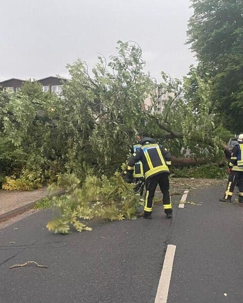 Feuerwehr entfernt umgestürzte Bäume und sichert Dachziegel nach Unwettern in Celle.