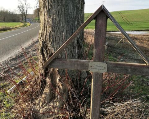 Unfallkreuz an Straßenrand symbolisiert dringenden Handlungsbedarf zur Verbesserung der Verkehrssicherheit in Sachsen-Anhalt.