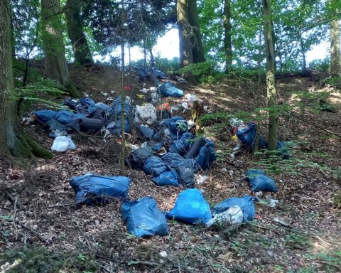 Illegale Müllablagerung im Wald mit verstreuten Müllsäcken sowie Kleidung und Abfällen.