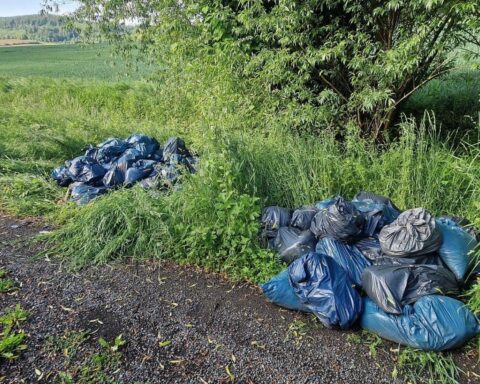 Illegale Müllentsorgung: Blaue Säcke mit Pflanzenresten am Feldweg zwischen Alfeld-Gerzen und Delligsen.