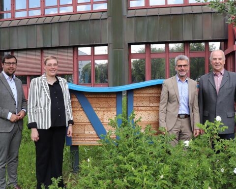 Neue Landrätin und Stellvertreter bei der konstituierenden Sitzung des Kreistags in Neu-Ulm.
