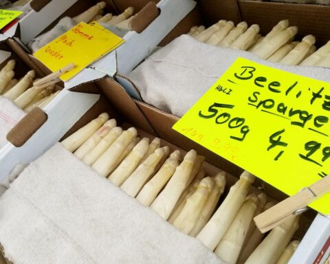 Saisonarbeiter ernten Spargel, symbolisieren unzureichenden Krankenversicherungsschutz in Deutschlands Landwirtschaft.
