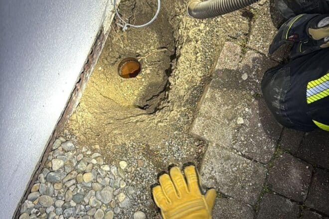 Marder aus Regenwasserrohr in Allensbach befreit