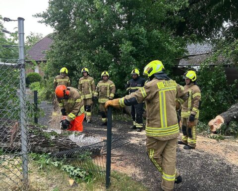 Umgestürzter Baum blockiert Straße, Feuerwehr beseitigt Schäden nach Gewitter in Wildeshausen.