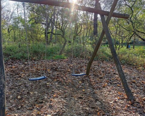 Waldkindergarten mit Schaukel und naturbelassener Umgebung für kindliche Entfaltung und Bildung.