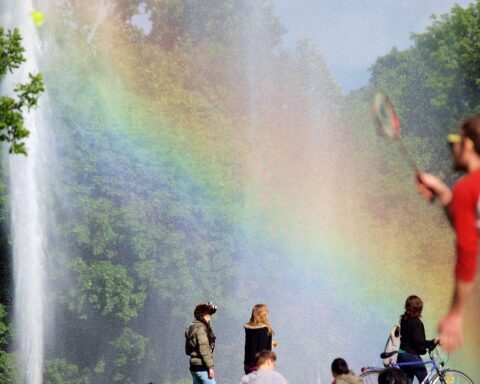 Sonniger Park mit Menschen, die das milde Wetter und die Natur genießen.