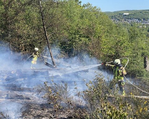 Waldbrandlöscharbeiten mit Feuerwehr auf der Rauhen Hardt, dichte Rauchentwicklung und Einsatzmittel sichtbar.