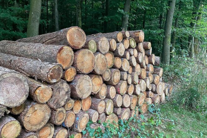 Wanderer stürzt in Elkeringhausen 15 Meter in die Tiefe