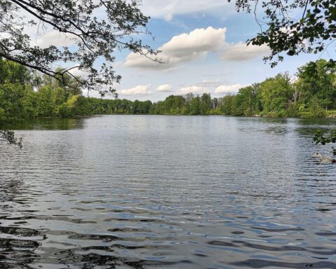 Sonniger Badesee mit blauem Himmel, perfekt für hohe Temperaturen und warme Sommertage.