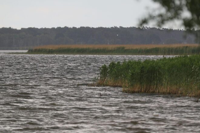 Wetterbericht für Mecklenburg-Vorpommern (31.05.2026)