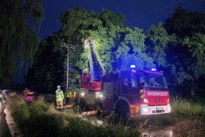 Feuerwehr im Einsatz, Äste entfernen, gefährliche Stromleitung, nächtlicher Notruf, schnelle Hilfe.