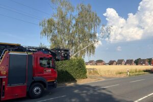 Freiwillige Feuerwehr entfernt umgestürzten Baum, der Stromleitung an Rheinberger Straße beschädigte.