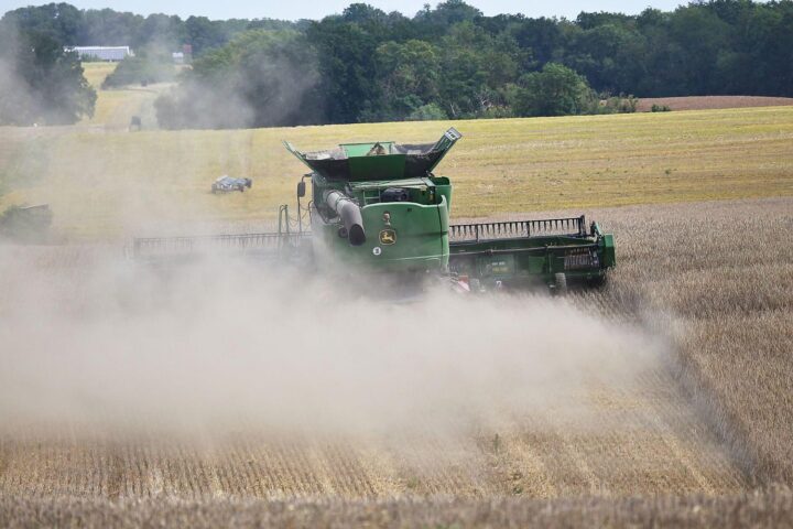 Mähdrescher auf einem Feld, symbolisiert die Ernte und die Auswirkungen der Düngerknappheit.