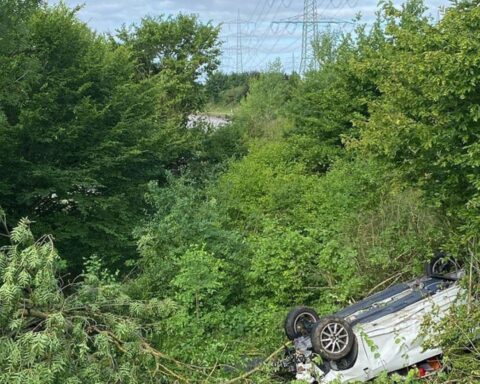 Ein schwer beschädigtes Auto auf dem Dach, umgeben von einer abgerissenen Baumkrone.