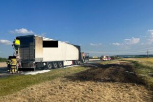 Brennender Sattelzug auf der Autobahn A9, Feuerwehr löst Brand schnell. Fahrer verletzt.