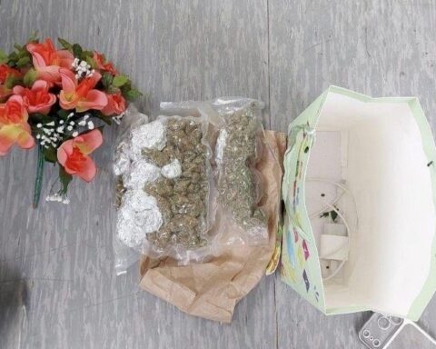 Bundespolizei sichert Cannabis unter einem Blumengesteck während einer Grenzkontrolle.