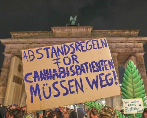 Durchsuchung eines Hauses: Polizisten bei der Cannabisplantage, Pflanzen und Beweismittel entdeckt.