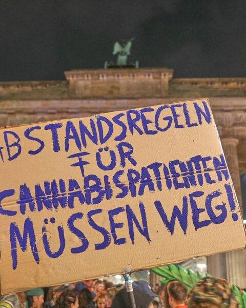 Durchsuchung eines Hauses: Polizisten bei der Cannabisplantage, Pflanzen und Beweismittel entdeckt.