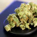 Polizei beschlagnahmt Marihuana und Haschisch in Ulm, Drogenfunde bei Kontrollen und Festnahmen.