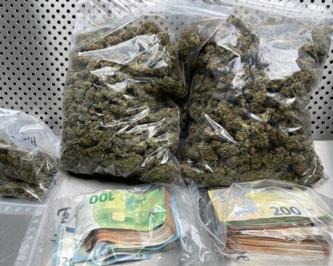 Festnahme eines Drogenhändlers mit Marihuana und Bargeld, Polizei im Einsatz.