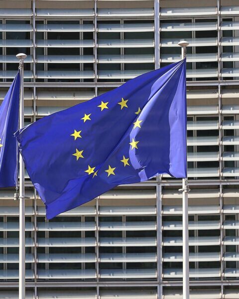 EU-Fahnen symbolisieren Montenegros Fortschritt auf dem Weg zur EU-Mitgliedschaft und finanzieller Integration.