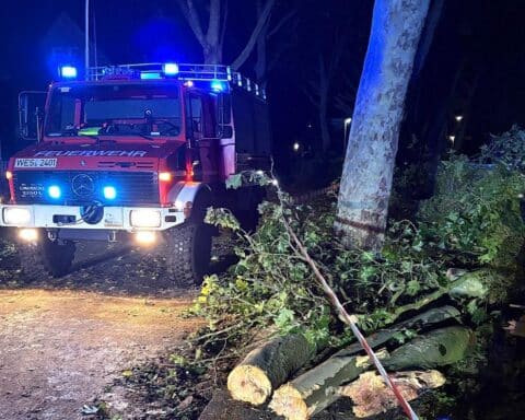Feuerwehr im Einsatz während Unwetter: Brandbekämpfung, umgestürzte Bäume und Rettungsaktionen sichtbar.