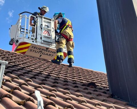 Vier Jungfalken werden aus überhitztem Kamin gerettet, Feuerwehr bei Einsatz in Stuttgart.