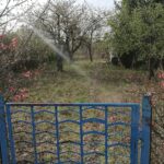 Bunte, naturnahe Gärten mit heimischen Pflanzen, Vögeln und Nisthilfen fördern Artenvielfalt in Deutschland.