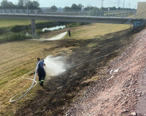 Feuerwehr löscht Grasbrand am Kinzigdamm, sichtbare Rauchwolke, Einsatzkräfte arbeiten bei Hitze.