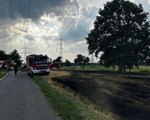 Flächenbrand auf Getreidefeld mit Feuerwehr im Einsatz und deutlicher Rauchentwicklung.